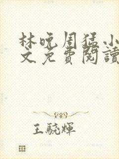 林晚周猛小说全文免费阅读