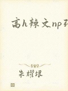 高h辣文np强
