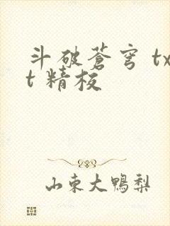 斗破苍穹 txt 精校