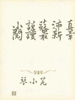 小说苏沛真全文阅读最新章节更新时间