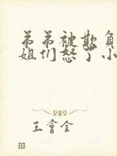 弟弟被欺负,姐姐们怒了小说封面