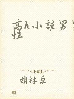 高h小说男男双性