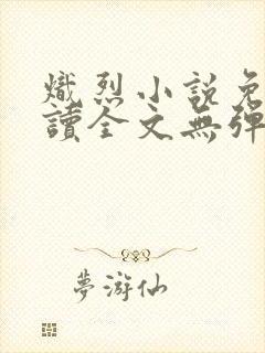 炽烈小说免费阅读全文无弹窗