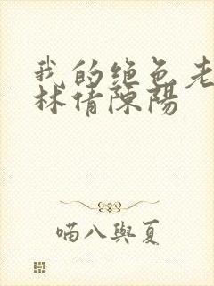 我的绝色老板娘林倩陈阳