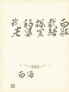 我的总裁白富美老婆完结版