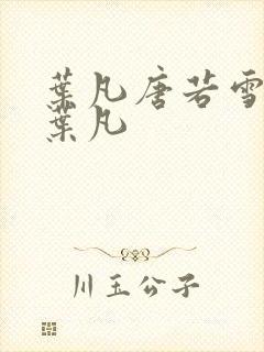 叶凡唐若雪医婿叶凡