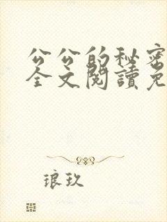 公公的秘密小说全文阅读免费