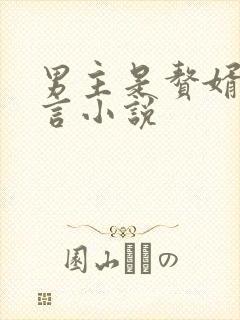 男主是赘婿的古言小说