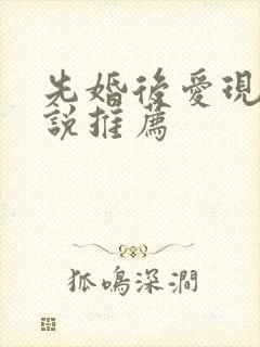 先婚后爱现言小说推荐