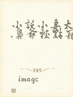 小说小妻太娇嫩,枭爷轻点宠在线阅读封面