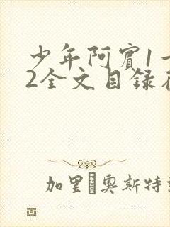 少年阿宾1一72全文目录在线