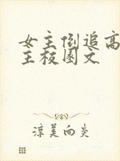 女主倒追高冷男主校园文