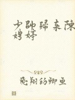 少帅归来陈宁宋娉婷