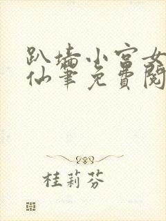 趴墙小宫女小蛮仙笔免费阅读笔趣