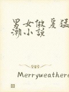 男女做爰猛烈高潮小说