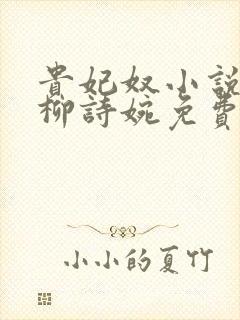 贵妃奴小说by柳诗婉免费阅读笔趣阁