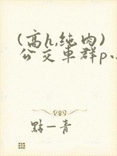(高h,纯肉)公交车群p小说