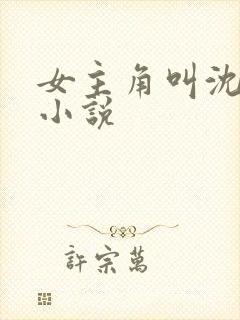 女主角叫沈颜的小说封面