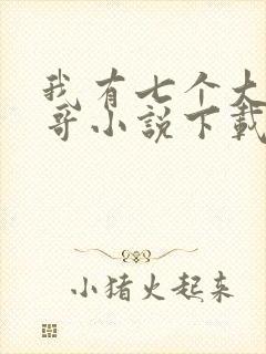 我有七个大佬哥哥小说下载