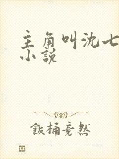 主角叫沈七月的小说