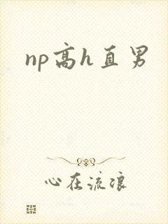 np高h直男