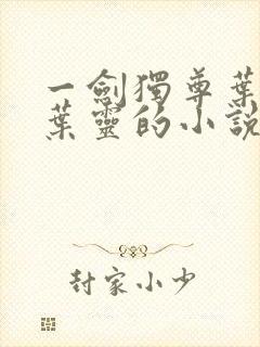 一剑独尊叶玄,叶灵的小说