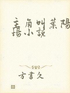 主角叫叶阳的官场小说