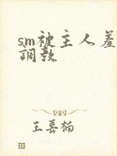 sm被主人羞辱调教封面