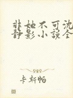 非她不可沈遇苏静影小说全文阅读