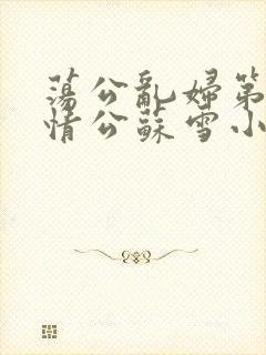 荡公乱妇第1章情公苏雪小说