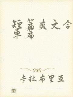 短篇爽文合集公车篇