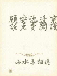 顾安沈清穿越小说免费阅读封面