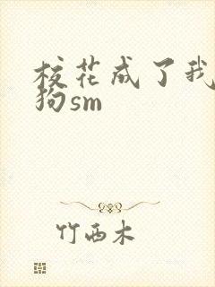 校花成了我的母狗sm