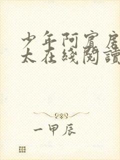 少年阿宾房东太太在线阅读