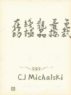 在线观看免费我的极品总裁老婆短剧