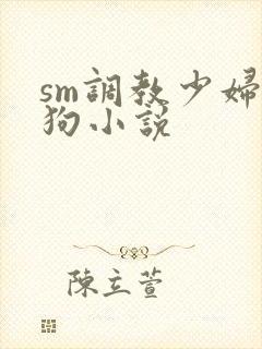 sm调教少妇母狗小说