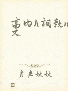 高肉h调教np文
