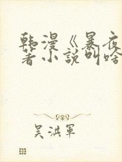韩漫《暴夜》原著小说叫啥封面