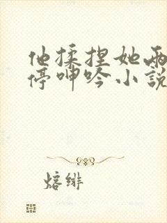 他揉捏她两乳不停呻吟小说