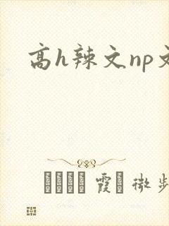 高h辣文np文
