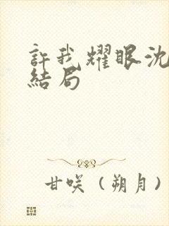 许我耀眼沈皓辰结局