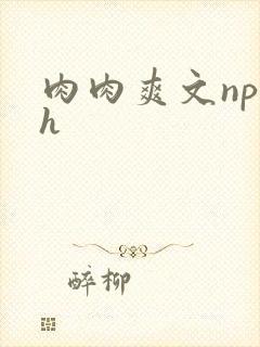 肉肉爽文np高h