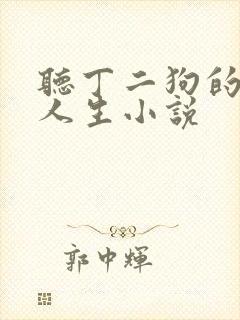 听丁二狗的肆意人生小说