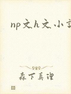 np文h文小说封面