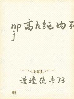 np高h纯肉强j