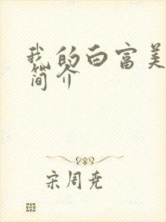 我的白富美老婆简介