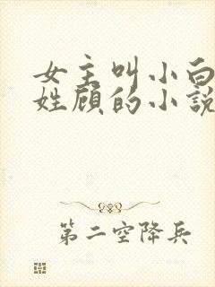 女主叫小白男主姓顾的小说