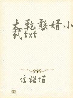 大乾憨婿小说下载txt封面