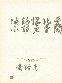 他的恨比爱长久小说免费阅读封面