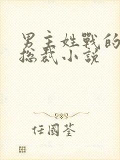 男主姓战的霸道总裁小说